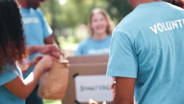 ハッピーな女性 ボランティア そして自然界の食糧寄付 慈善団体Ngo コミュニティサービスのための箱を持ったグループ 屋外公園の小包 パッケージまたはパッキング食料品袋のための笑顔の多様性または社会 — ストック動画