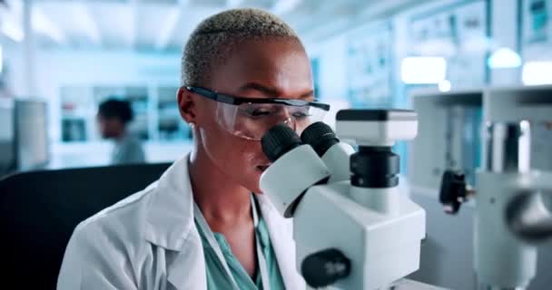 Mikroskop Forskning Och Svart Kvinna Forskare Ett Labb För Medicinska — Stockvideo