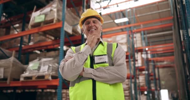 Logistique Entrepôt Portrait Homme Mûr Toute Confiance Pour Inventaire Inspection — Video