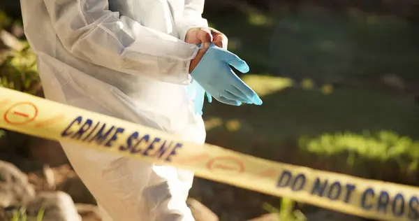 Forensic, gloves and police tape at crime scene for investigation, getting ready and hazmat for protection. Csi quarantine, expert investigator and outdoor for observation, evidence and case research.