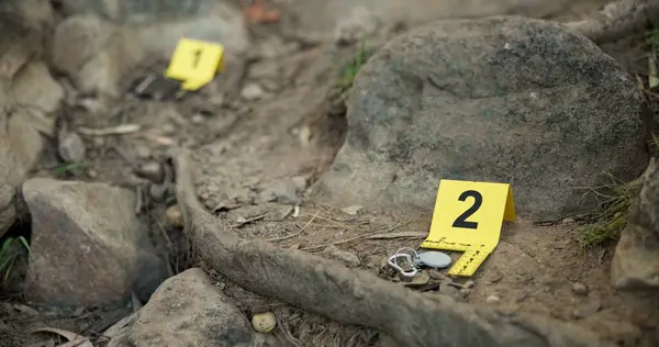 Closeup, evidence marker and forensic for investigation at crime scene with keys on ground or accident location in forest. Yellow numbers, homicide or case research with observation outdoor in woods.