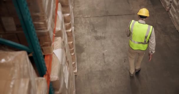 Werknemer Magazijn Dansen Logistiek Scheepvaart Supply Chain Distributie Opslag Levering — Stockvideo