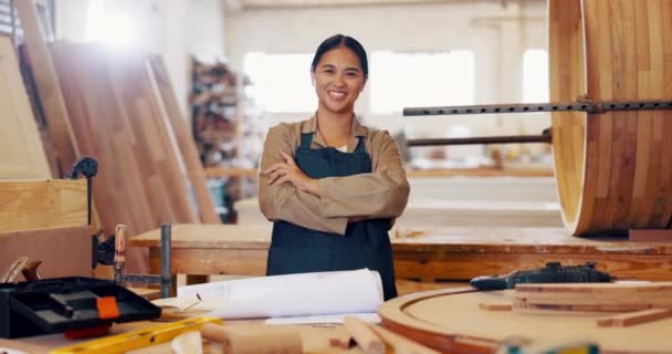 Kobieta Twarz Drewno Warsztat Produkcji Dla Stolarza Mebli Budynku Lub — Wideo stockowe