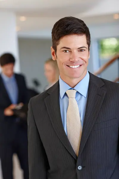 Profesional Hombre Feliz Retrato Asesor Financiero Compañía Con Confianza Para —  Fotos de Stock