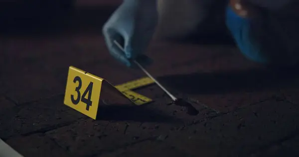 Evidence marker, csi and swab of blood at crime scene with forensic on floor at night for investigation of murder. Professional, expert in gloves and case investigator with observation and search.