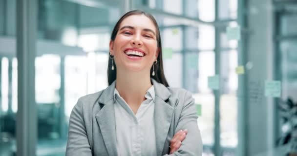 Firemní Lidské Zdroje Tvář Ženy Úsměvem Pro Start Štěstí Sebedůvěru — Stock video