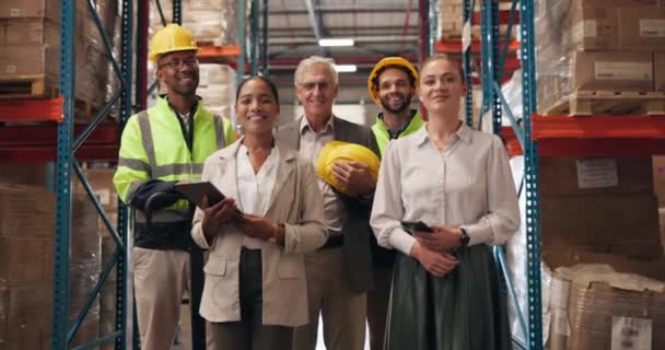 Ludzie Twarz Magazyn Pracy Zespołowej Dla Logistyki Wysyłki Fabryce Lub — Wideo stockowe