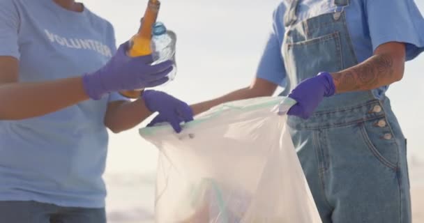Volontariato Spiaggia Sacco Della Spazzatura Pulizia Dell Ambiente Come Servizio — Video Stock