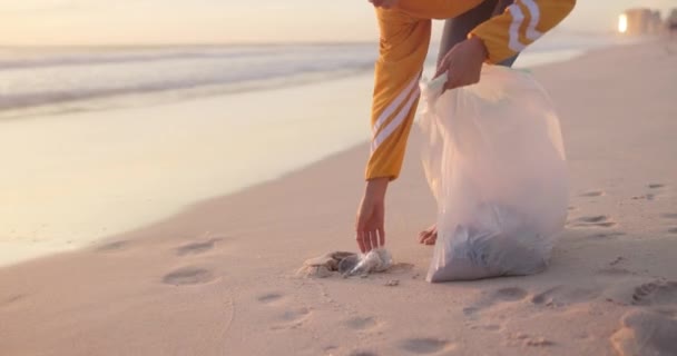 ボランティア ビーチ プラスチッククリーニング 自然やコミュニティサービスの汚染 ゴミや廃棄物管理 リサイクル 地球温暖化 未来としての人 気候変動 海洋ごみのピックアップ — ストック動画