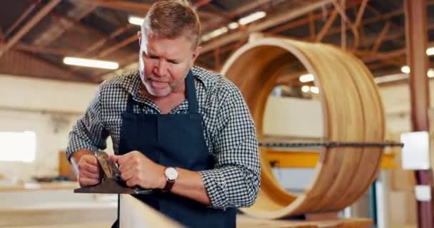 Mature Man Carpenter Wood Workshop Plane Shaping Furniture Design Carpentry — Stock Video