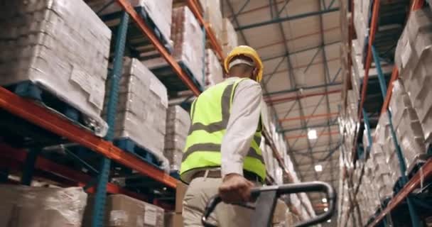 Uomo Magazzino Imballaggio Stoccaggio Distribuzione Commerce Fabbrica Logistica Inventario Importazione — Video Stock