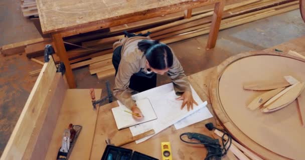 木制品 商业或木制家具工艺中的妇女 蓝图或工具 如企业家精神 女性木匠 文书工作员或木匠 以编写 描绘或规划木材创业公司的远景 — 图库视频影像