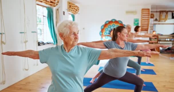 Elderly Woman Stretching Pilates Yoga Class Spiritual Wellness Balance Together — Stock Video