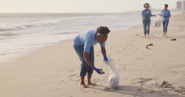 Volunteer Beach Trash Cleaning Teamwork Community Service Pollution Plastic Waste — Stock Video