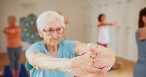 Senior Woman Group Stretching Yoga Class Wellness Zen Balance Together — Stock Video