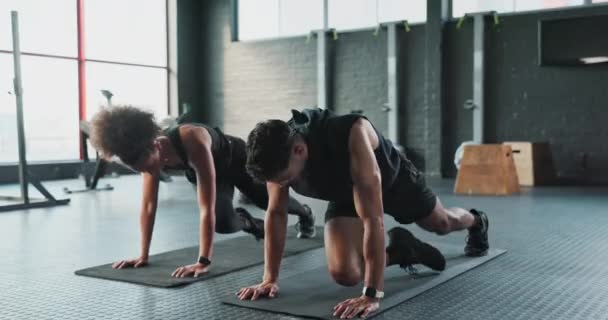 Fitness Przybij Piątkę Lub Szczęśliwych Ludzi Treningu Siłowym Treningu Ciała — Wideo stockowe