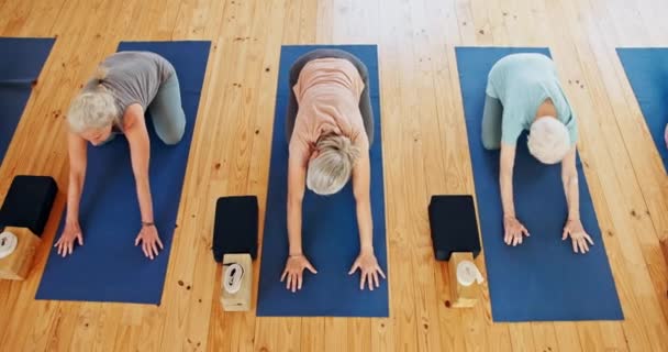 Femme Âgée Cours Yoga Étirement Avec Zen Pour Bien Être — Video