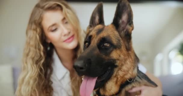 Mujer Perro Arañazos Casa Para Conexión Amor Como Propietario Animales — Vídeo de stock