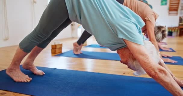 Mujer Mayor Estiramiento Esterilla Yoga Con Clase Para Pilates Bienestar — Vídeos de Stock