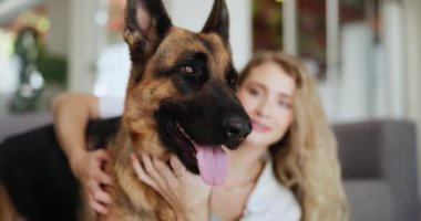 Evcil hayvan sahiplerinin bağ kurması için evin oturma odasındaki kanepede kadın ve köpeğe güven, sarıl ya da sarıl. Gülümseyin, sevin ya da mutlu genç kişi ve Alsaslı ile birlikte bakım ya da sadakat için evde rahatlayın..