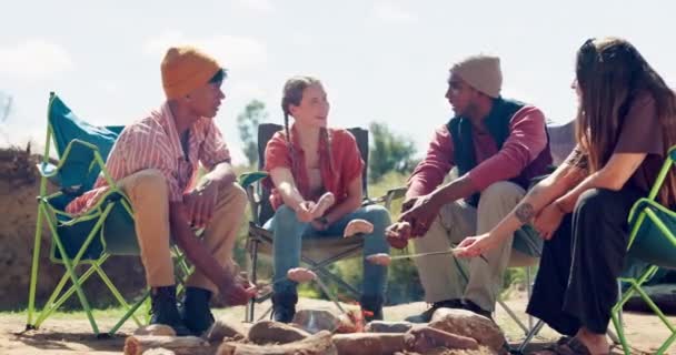 Feuer Freunde Und Zelten Der Natur Mit Essen Picknick Und — Stockvideo
