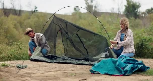 假日和不同种族的人在夏天外出旅行 在大自然中露营 结伴和搭帐篷 男人和女人在一起布置 在农村准备和交谈 — 图库视频影像