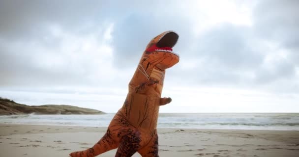 Boxeo Cómic Traje Dinosaurio Playa Con Artes Marciales Entrenamiento Lucha — Vídeos de Stock