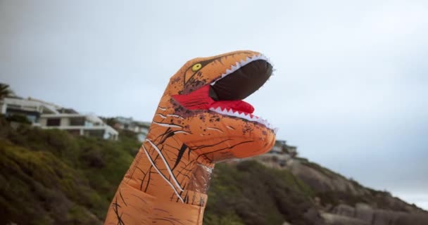 Lustig Kostüm Und Aufblasbare Dinosaurier Freien Strand Mit Berg Und — Stockvideo
