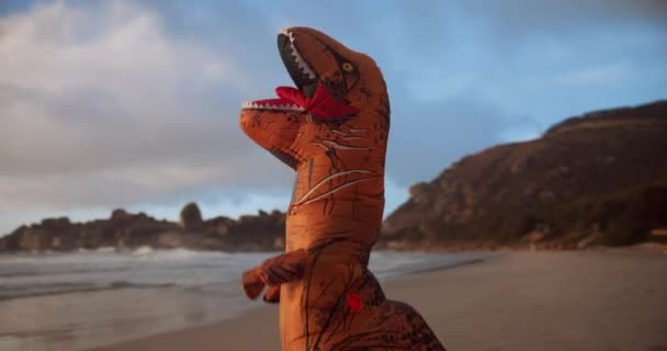 Strand Opblaasbare Dinosaurus Kostuum Komiek Feest Oceaan Bij Zonsopgang Zomer — Stockvideo