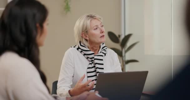 Femme Affaires Réunion Discussion Pour Travail Équipe Collaboration Conseils Soutien — Video