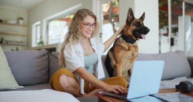 Kadın, kanepe, bilgisayar ve gözlüklü köpek, aşk için hayvan besliyorlar. Dişi öğrenci, kanepe ve Almanca çoban dizüstü bilgisayarı ve eğitim, internet veya internet ve bağlantı bilgileri.