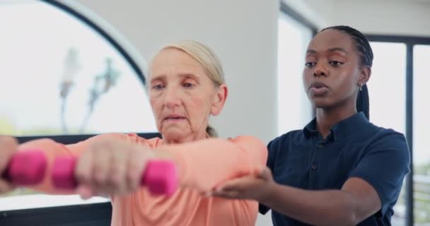 リハビリテーションまたは腕の移動性相談 回復または関節痛のための古い女性 理学療法およびダンベルワークアウト 高齢者 健康のための評価と筋肉損傷 進歩やサポート — ストック動画