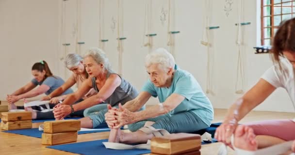 Fitness Yoga Mujeres Mayores Estirándose Para Bienestar Cuerpo Sano Estilo — Vídeo de stock