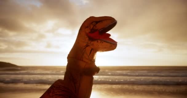 Κοστούμια Δεινόσαυρος Αστείο Και Πυγμαχία Στην Παραλία Προπόνηση Και Την — Αρχείο Βίντεο