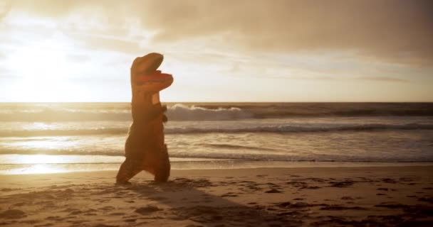 Traje Dinosaurio Aire Libre Kickboxing Playa Con Divertido Rendimiento Aire — Vídeos de Stock