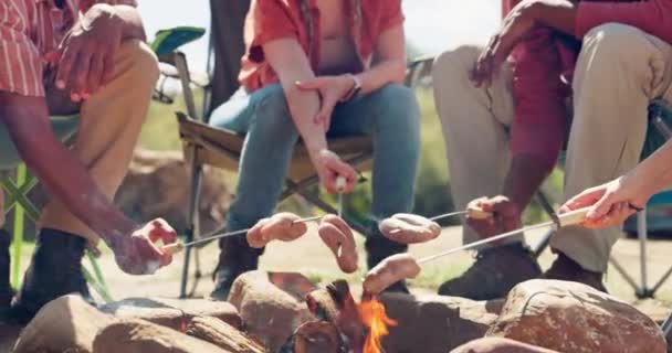 Fuego Amigos Camping Naturaleza Con Hot Dog Picnic Gente Vacaciones — Vídeos de Stock