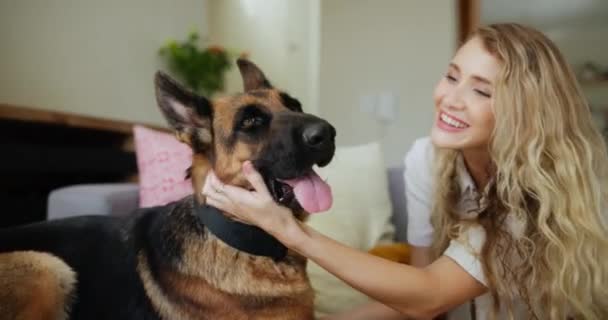 Mujer Perro Accidente Cerebrovascular Casa Para Conexión Amor Como Propietario — Vídeo de stock