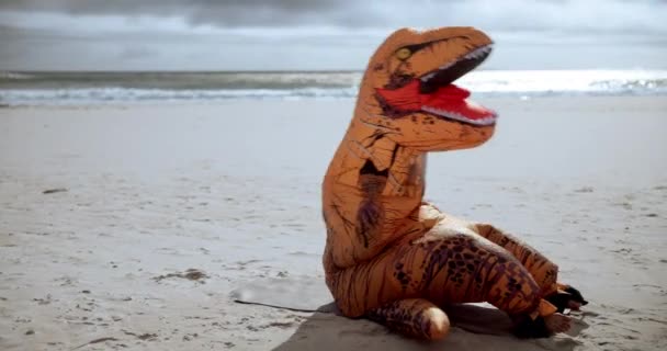 Dinosaurus Puku Liikunta Henkilö Hauskaa Push Ups Koulutusta Tai Kunto — kuvapankkivideo