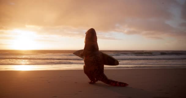 Deska Surfingowa Zachód Słońca Kostium Dinozaura Plaży Treningu Sportów Wodnych — Wideo stockowe