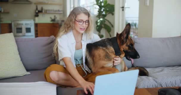 女性の学生やソファーや動物やラップトップ 家でメガネ 愛のための感情的なサポート犬 ソファー ドイツの羊飼い インターネット Eラーニングのための技術とスペック — ストック動画