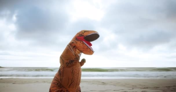 Traje Dinossauro Engraçado Livre Praia Com Diversão Desempenho Luta Areia — Vídeo de Stock