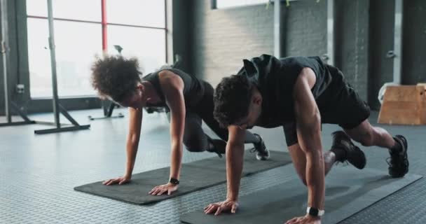 Fitness Bergbeklimmer Mensen Fitnesstraining Lichaamsbeweging Voor Kernkracht Teamwork Mat Gezonde — Stockvideo