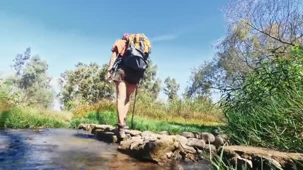 Resor Vandring Och Tillbaka Kvinna Vid Sjön För Att Utforska — Stockvideo