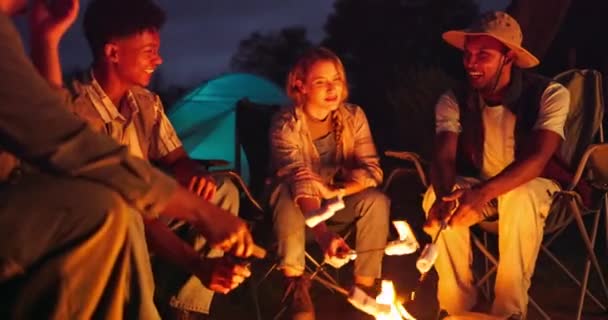 Κάμπινγκ Marshmallow Και Φίλοι Φωτιά Νύχτα Στη Φύση Για Διακοπές — Αρχείο Βίντεο