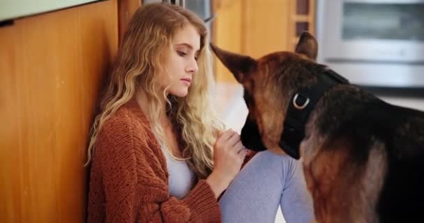 Strona Główna Kobieta Pies Miłością Relaks Zabawy Zwierzętami Lub Najlepszym — Wideo stockowe
