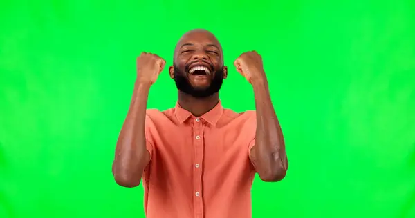 Ευτυχισμένος Εταιρικός Και Πρόσωπο Ενός Μαύρου Που Γιορτάζει Μια Πράσινη — Φωτογραφία Αρχείου