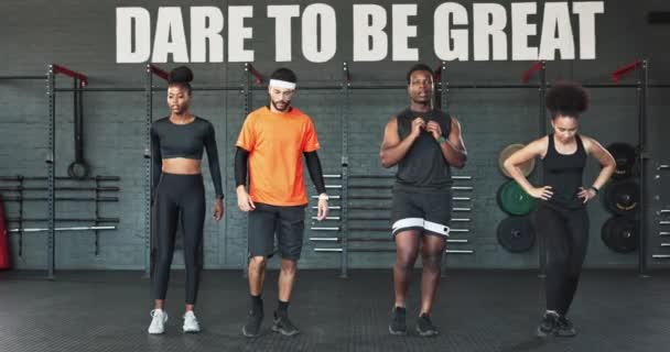 Fitness Sınıf Takım Beden Eğitimi Egzersiz Esneme Komik Ineklerle Birlikte — Stok video