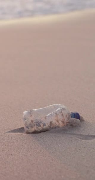 塑料瓶 海滩和自然污染或环境中的垃圾管理 循环利用或生态友好 海洋和垃圾户外或清洁活动或志愿工作 海上或全球 — 图库视频影像