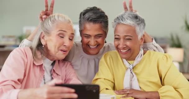 ジョーク ティーパーティーの記憶のための写真のためのセルフィー シニアの女性と平和のサイン ビデオ通話 リラックス ブランチ つながりのための人々 再会または高齢者 — ストック動画