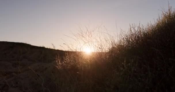 Východ Slunce Horizont Ranní Krajina Nebo Pastviny Mírumilovné Svítání Severní — Stock video